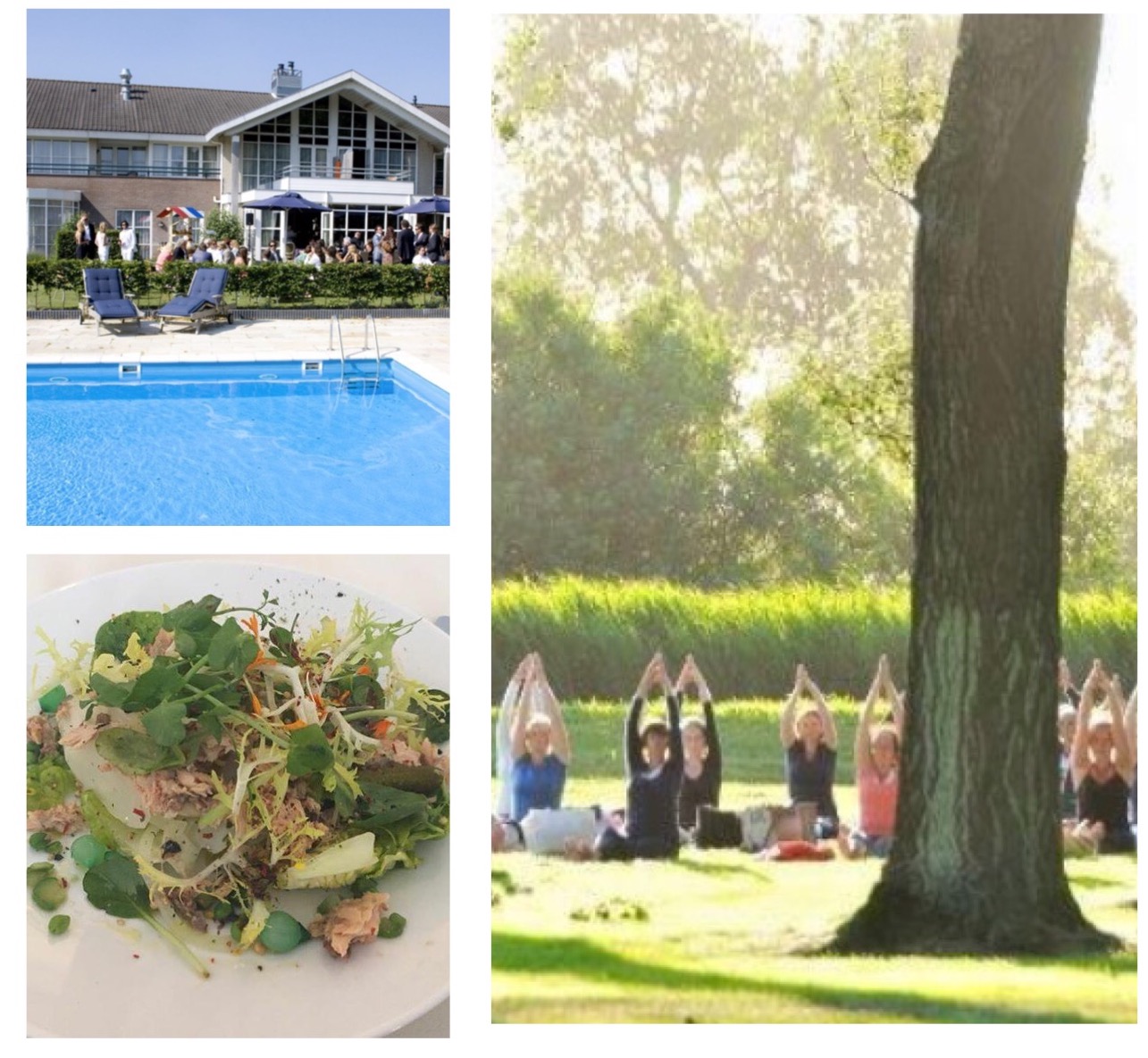 in je kracht Stiltedag Friesland Landhotel de IJsvogel