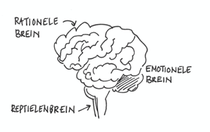 teamcoaching teamontwikkeling