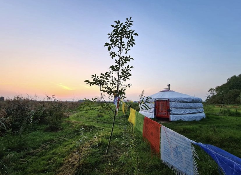 Yoga bij de yurt Maaike Dijkstra